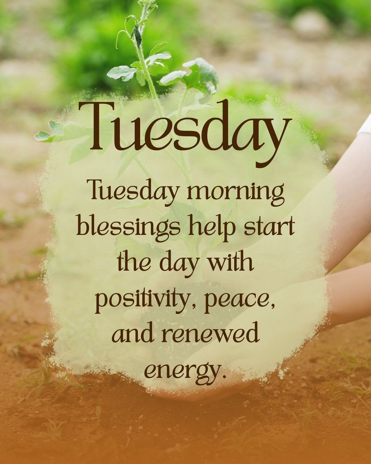 tuesday blessings