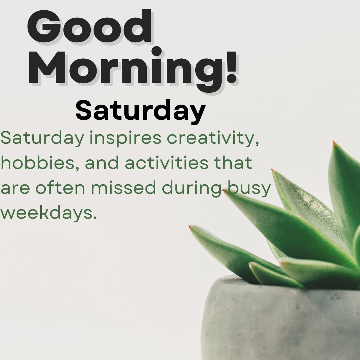 Good Morning Blessings