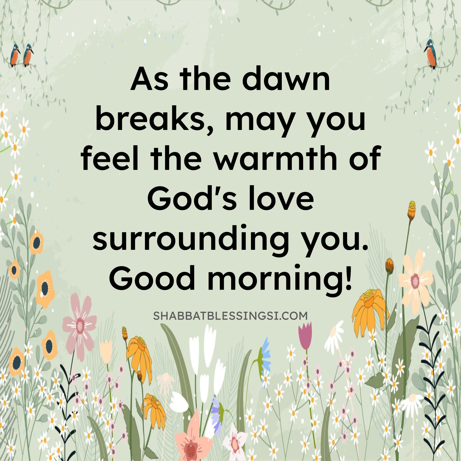 Gratitude Blessing Image