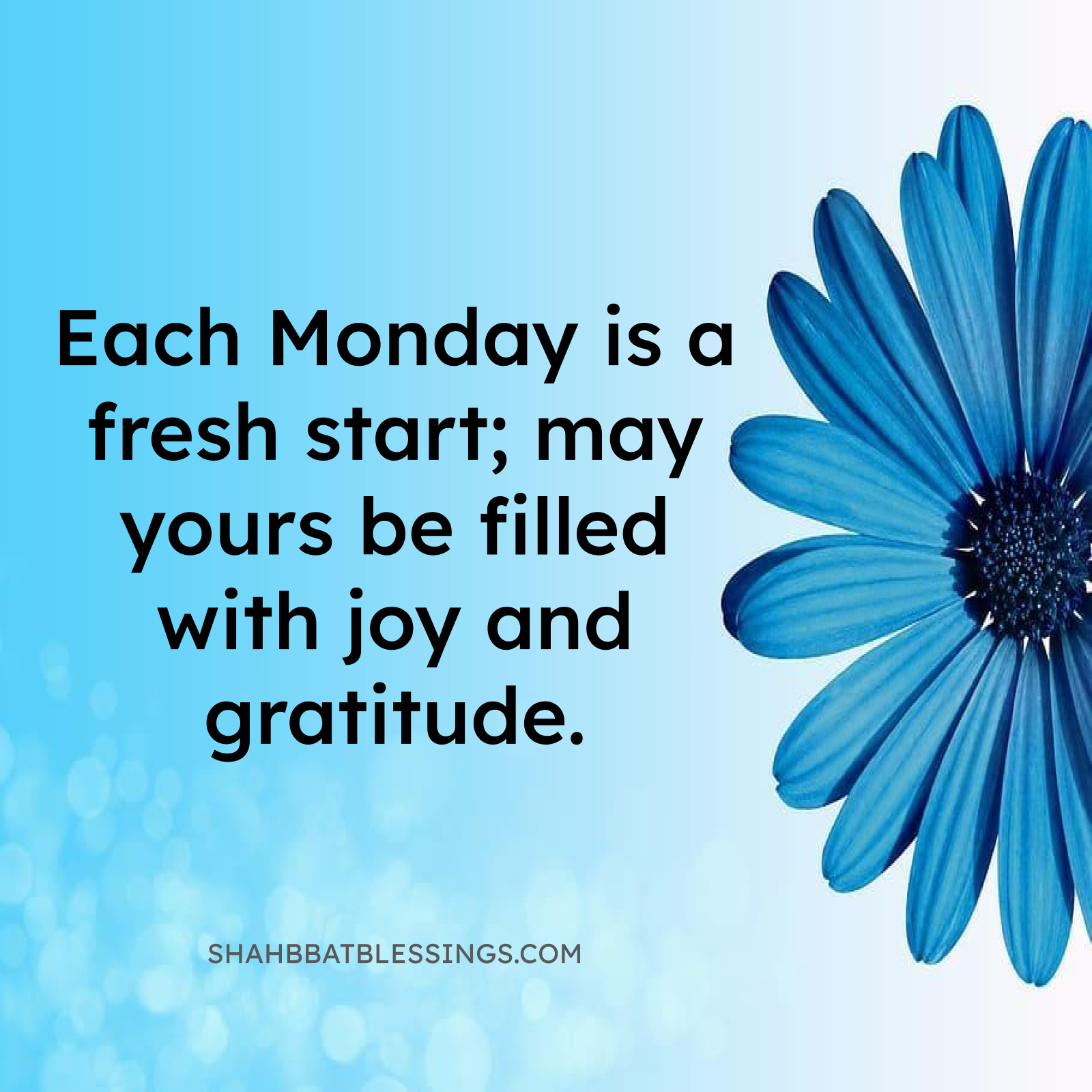 Joyful Monday Blessing