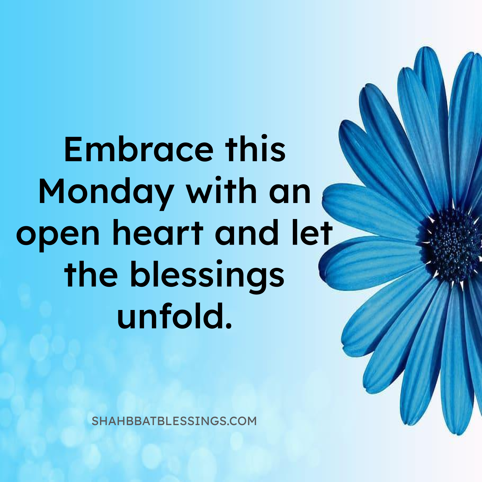 Embrace Monday Blessing