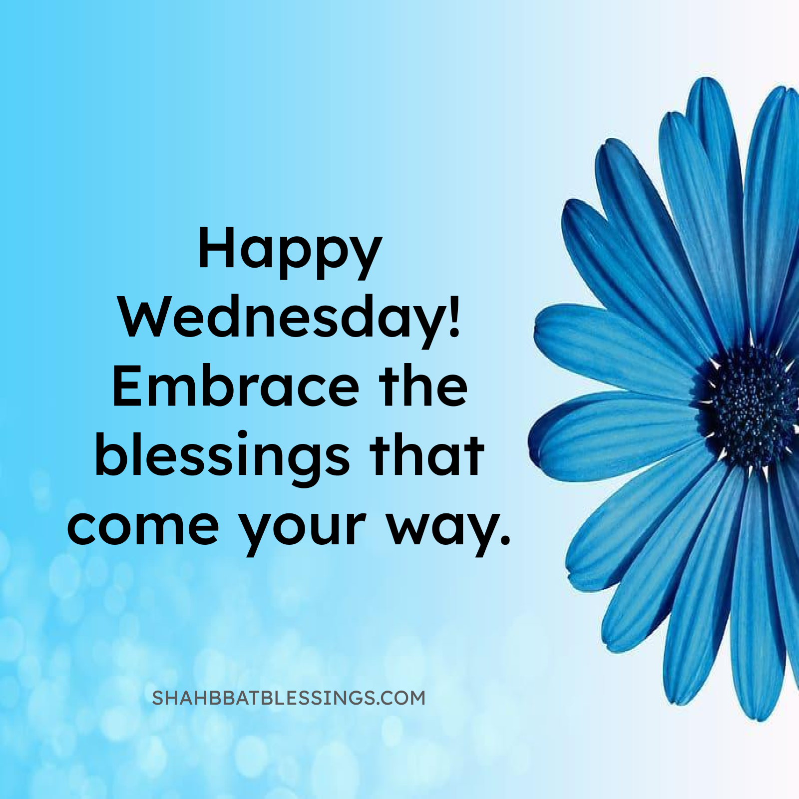 Happy Wednesday Love Blessing