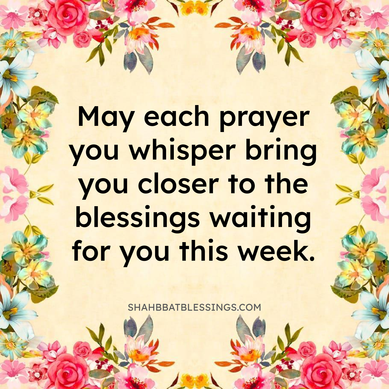 Monday Blessings Gratitude