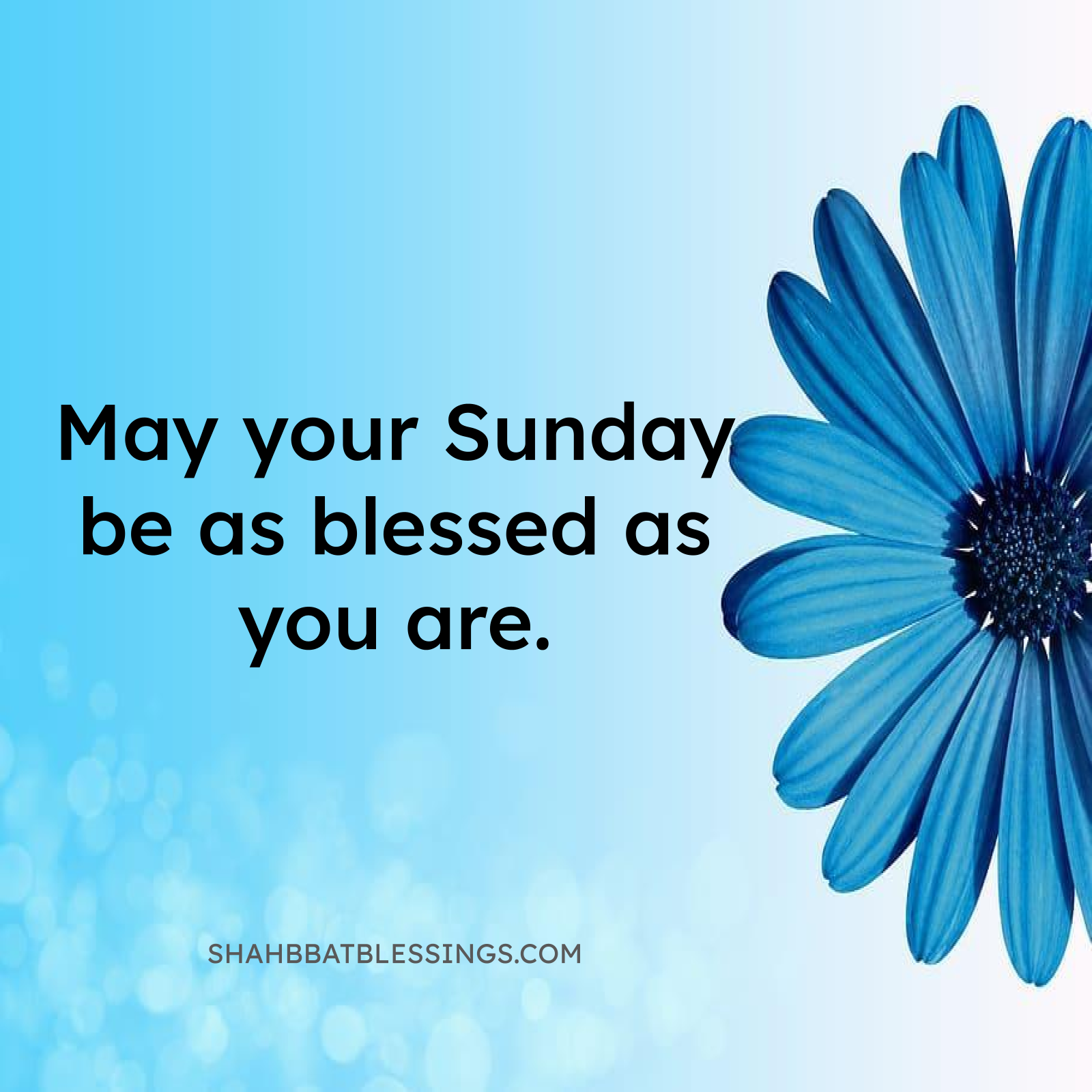 Reflection Blessing Image