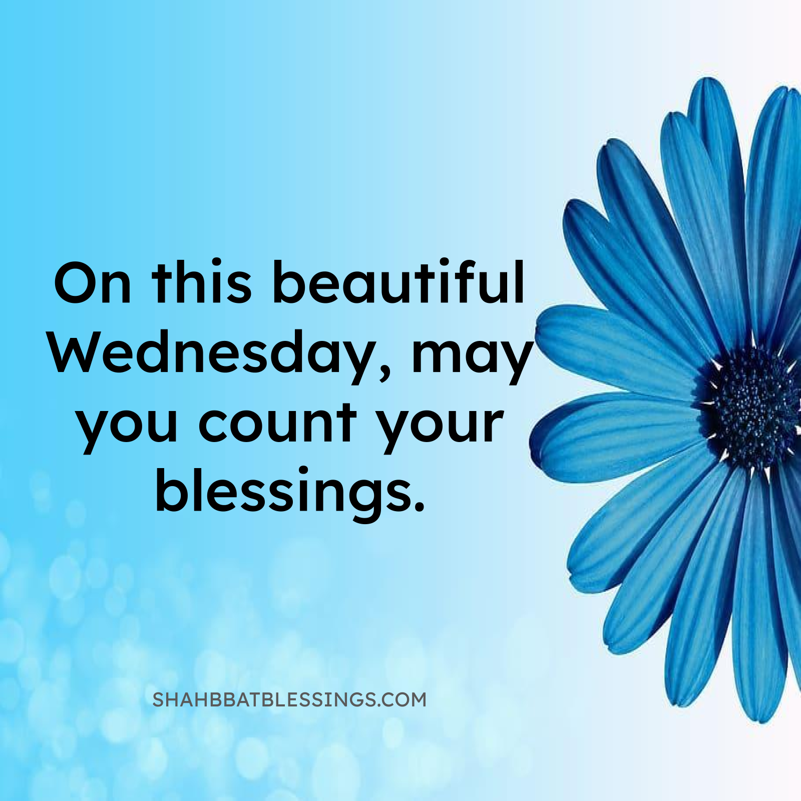 Happy Wednesday Gratitude Blessing