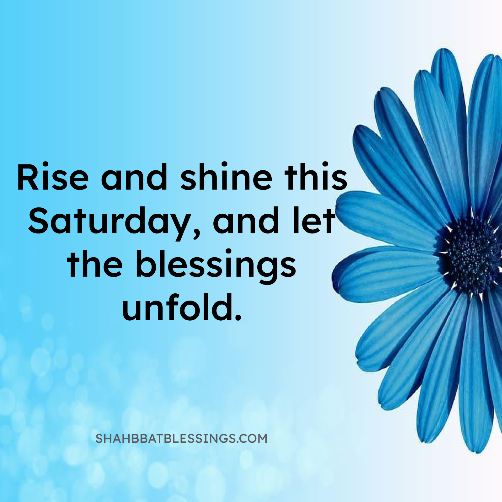 Saturday Peace Blessing