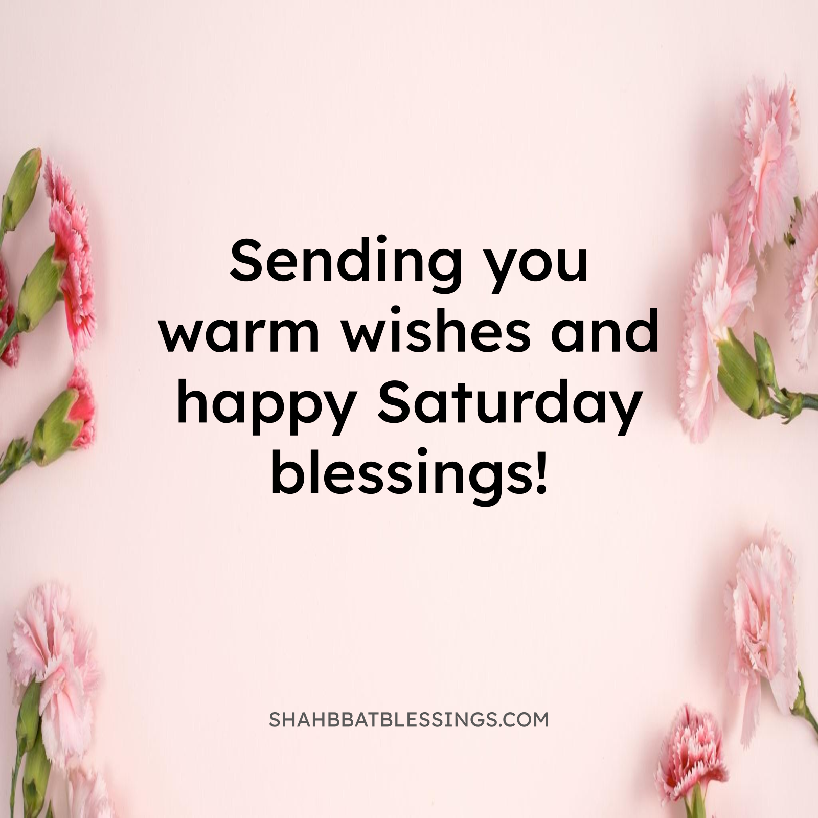 Sending you warm wishes and happy Saturday blessings.