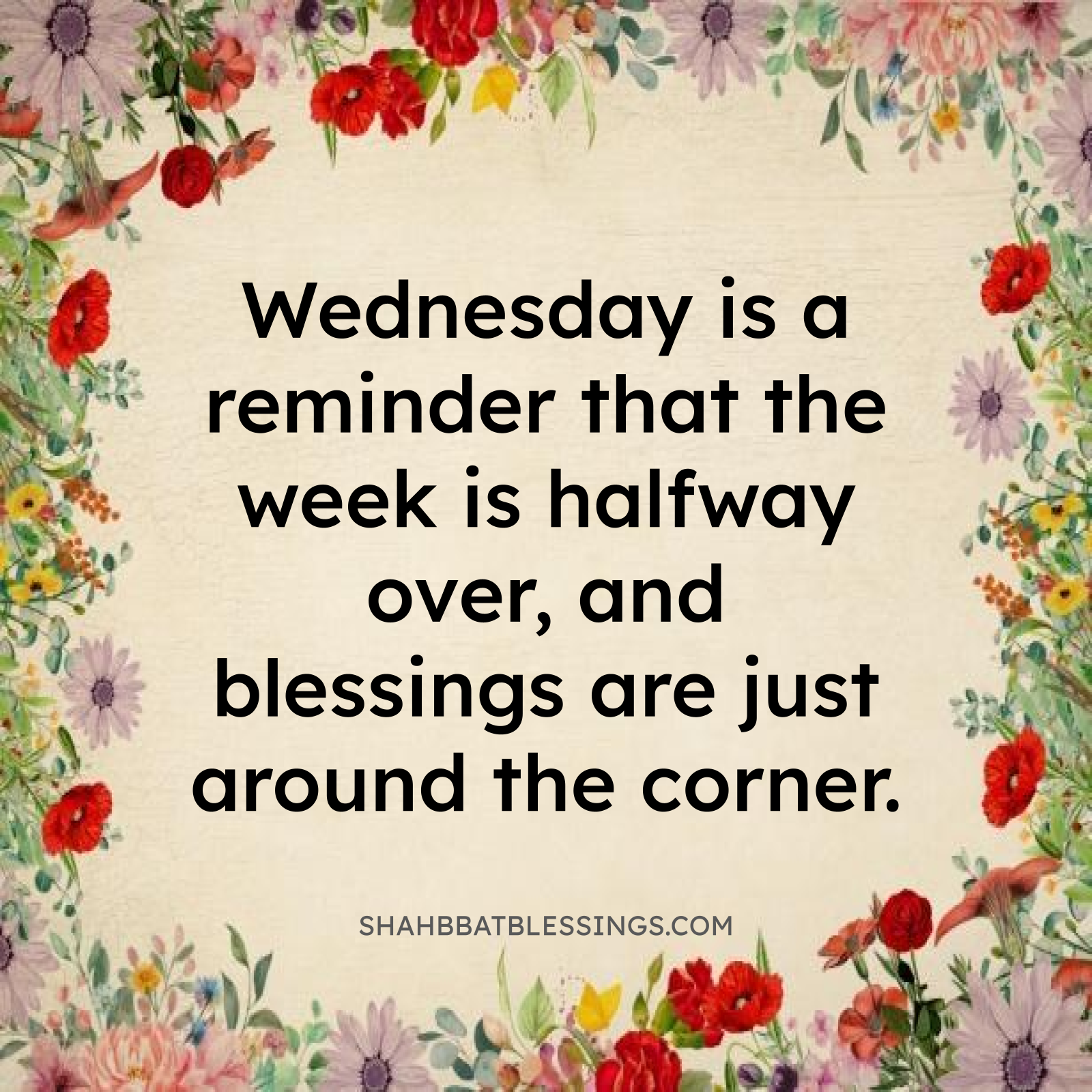 Reflection and Gratitude